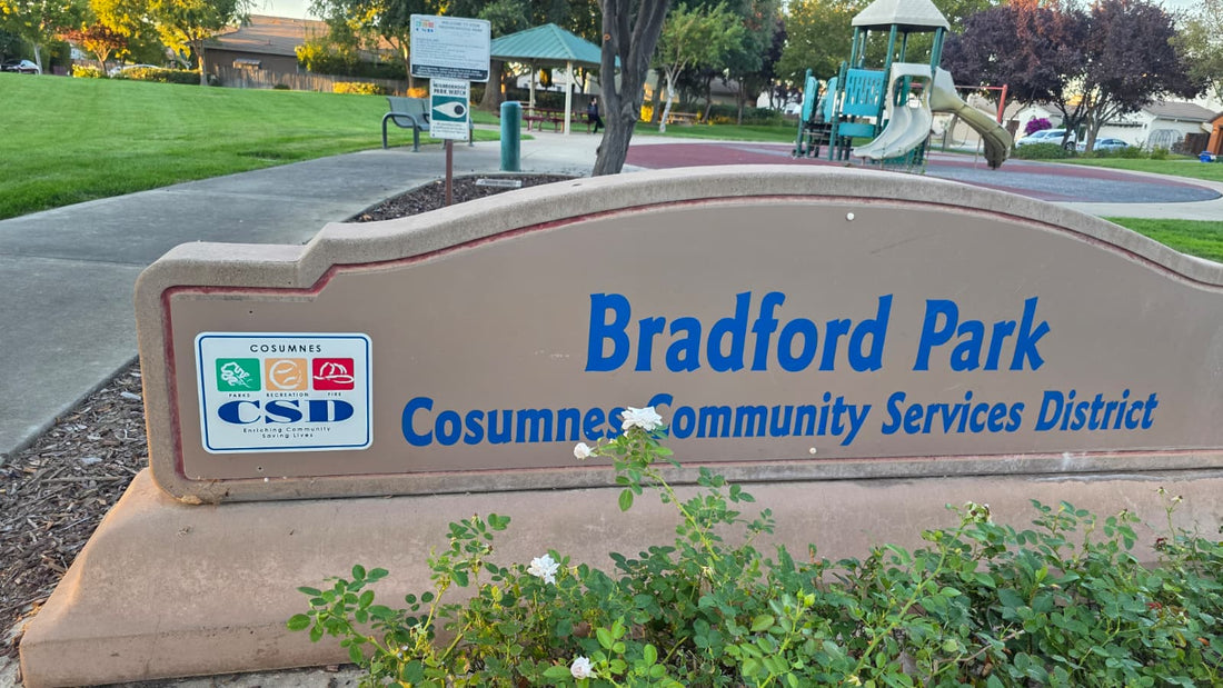 🌿 Park Clean-Up Drive | YAC Sacramento Chapter 🌎