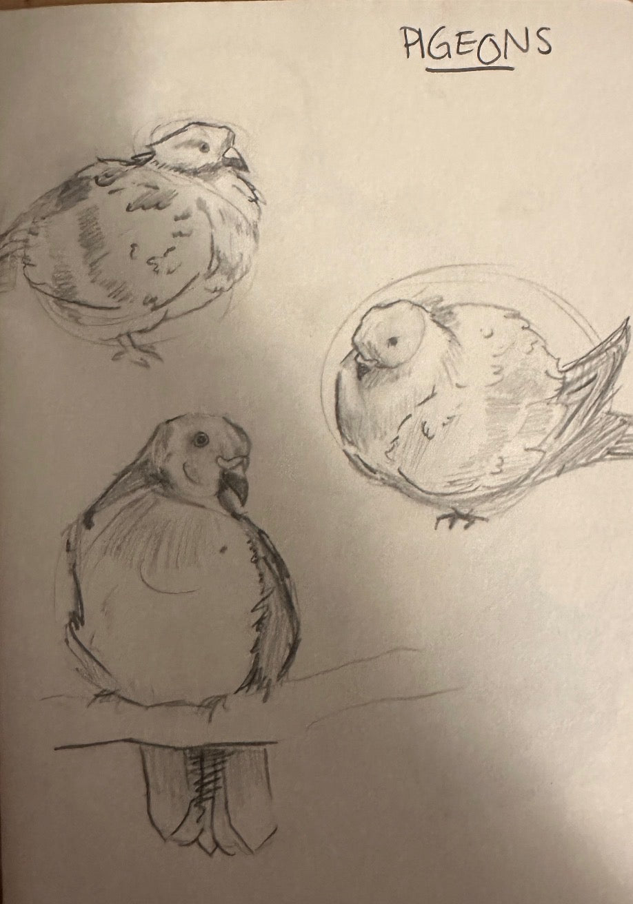Pigeons