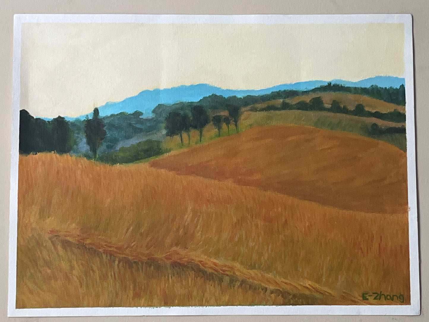 Sunwashed Fields